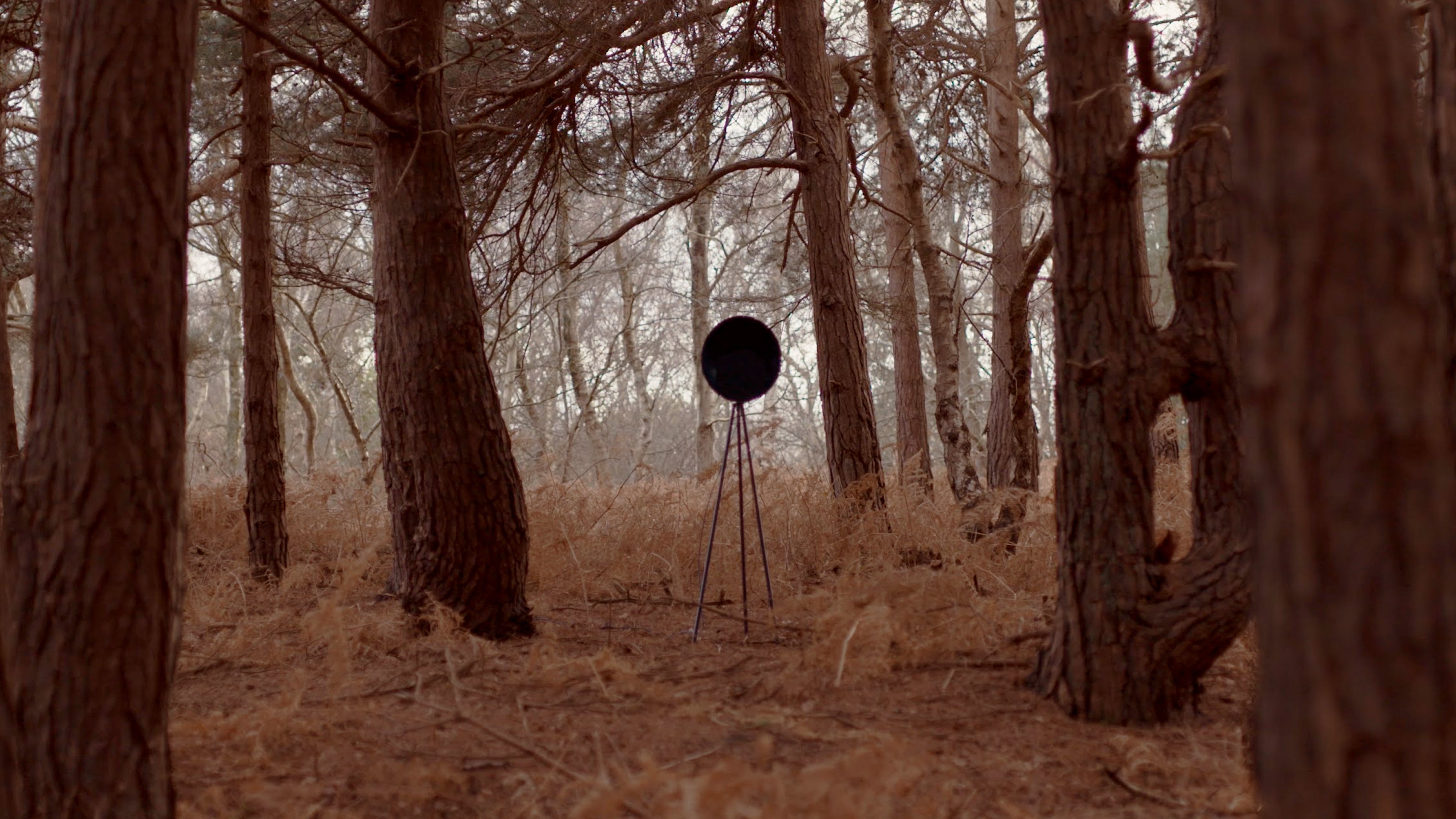 Diffuser floor lamp in a forest